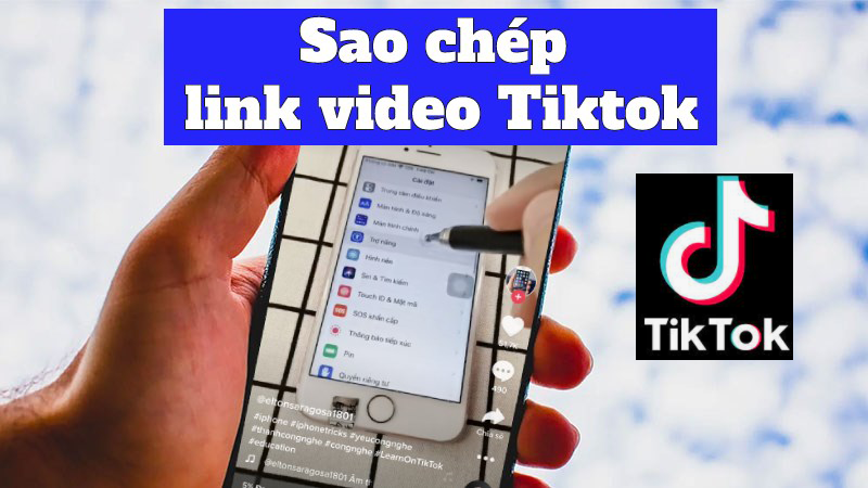 Cách sao chép liên kết video TikTok đơn giản